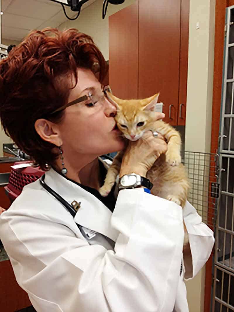 doctor holding a kitten