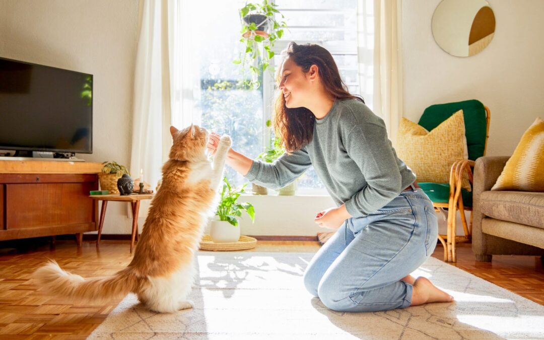 woman playing with a cat