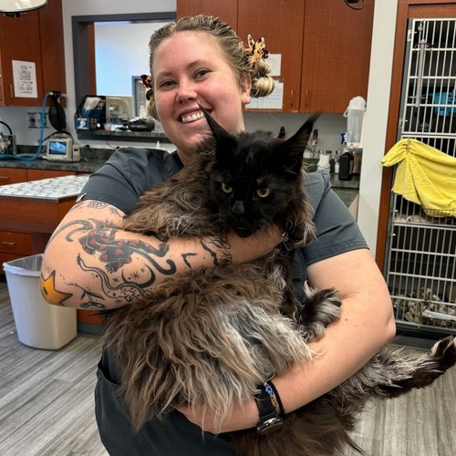 a female holding a cat on her shoulder