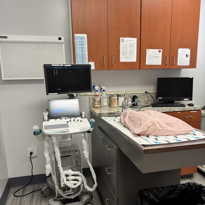 Ultrasound Suite a person pointing at an ultrasound